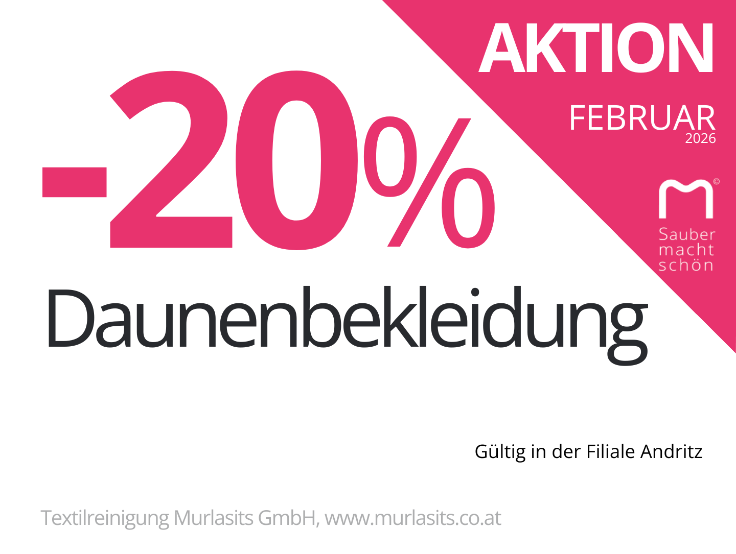 Aktion Homepage Andritz